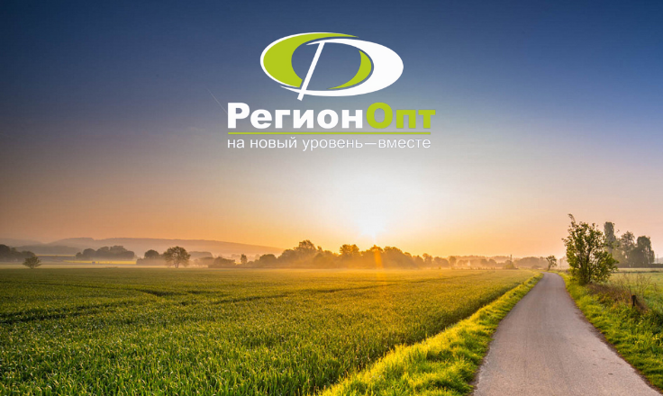 РегионОпт