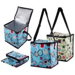 Термосумка  7л 21х14х25см CB-87 Graphic Ecos 004987/108080