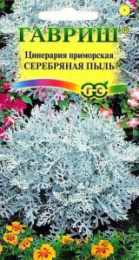 Цинерария Серебряная пыль приморская 0,05г цветной пакет Гавриш