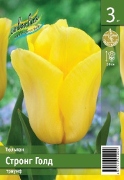 Тюльпан Стронг Голд  3шт. Эконом Colorline