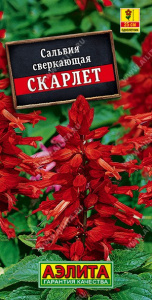 Сальвия Скарлет 0,1г цветной пакет Аэлита