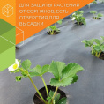 Укрывной материал (спанбонд) рулонный перфорированная мульча плотность 60 UV черный 1,6х100м (3 шах 38х38х8см) Агротекс 3ш