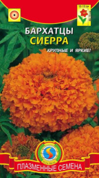 Бархатцы прямостоячие (Тагетес) Сиерра 45шт. цветной пакет Плазменные семена