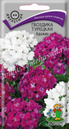 Гвоздика турецкая (бородатая) Адажио 0,3г цветной пакет Поиск