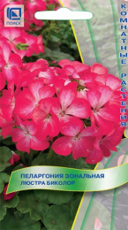 Пеларгония Люстра Биколор зональная 5шт. цветной пакет Поиск