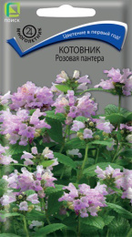 Котовник Розовая пантера 10шт. цветной пакет Поиск