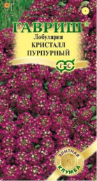 Лобулярия Кристалл Пурпурный 15шт. цветной пакет серия Элитная клумба Гавриш
