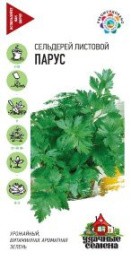 Сельдерей листовой Парус 0,5г цветной пакет серия Удачные семена Гавриш