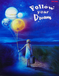 Тетрадь 100 листов Следуй за мечтой, на кольцах 100-1297