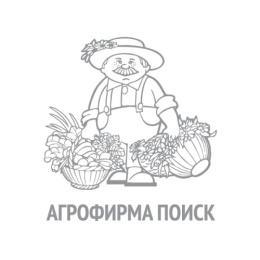 Петрушка корневая Пикантная 3г белый пакет Поиск