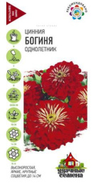 Цинния Богиня 0,3г цветной пакет серия Удачные семена Гавриш