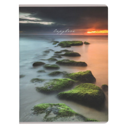 Тетрадь  96 листов А4 Туман над водой Т96-2271