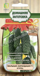 Огурец Малыши-карандаши F1 12шт. цветной пакет серия Домашняя заготовка Поиск