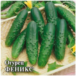 Огурец Феникс  25г фермерский пакет Гавриш