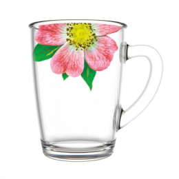 Кружка стеклянная 300мл Капучино Живая природа. Китайская роза Декостек 334-Д