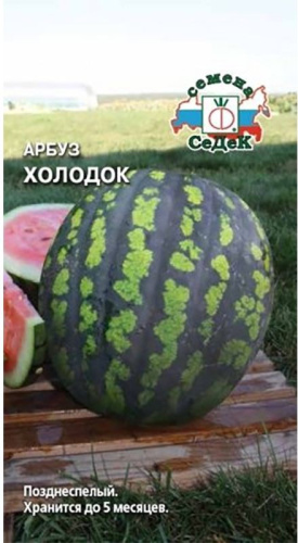 Арбуз Холодок  1г цветной пакет Седек