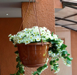 Кашпо подвесное пластиковое Глория с поддоном d-19см 2,0л терракотовый 5plast 5PL0620