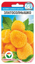 Малина ремонтантная Златосолнышко 10шт. цветной пакет Сибирский сад