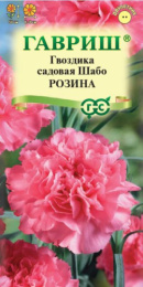 Гвоздика шабо Розина 0,05г цветной пакет Гавриш