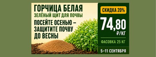 Горчица белая