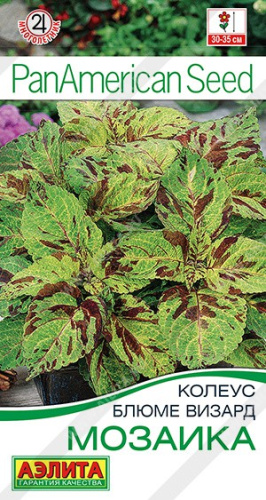 Колеус блюме Мозаика  5шт. цветной пакет Аэлита
