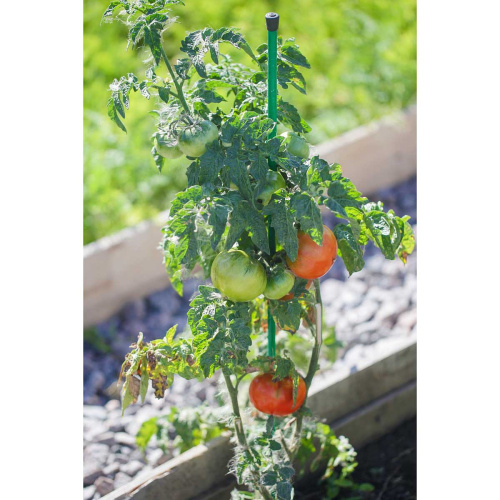 Колышек металлический 0,8м, труба 10мм Садовита