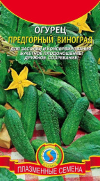 Огурец Предгорный виноград 12шт. цветной пакет Плазменные семена