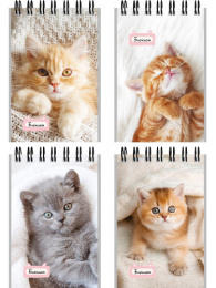 Блокнот А7  40 листов Маленькие котята 1, гребень Б40-6384