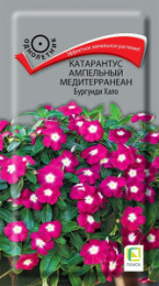 Катарантус Медитерранеан Бургунди Хало ампельный 10шт. цветной пакет Поиск
