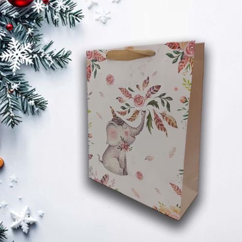 Пакет подарочный бумажный 26х32х10см ламинированный Радужный Дом РД21362