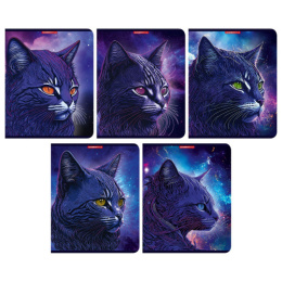 Тетрадь  48 листов Синий кот 14690/5