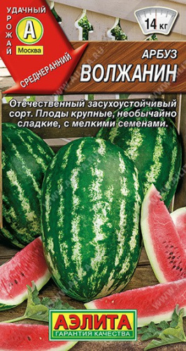 Арбуз Волжанин  1г цветной пакет Аэлита