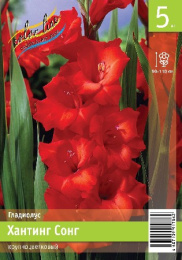 Гладиолус Хантинг Сонг 10/12  5шт. Эконом Colorline