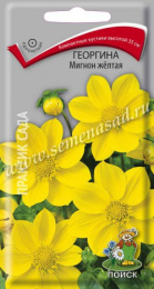 Георгина Мигнон желтая 0,2г цветной пакет Поиск