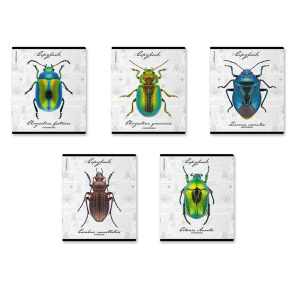 Тетрадь  48 листов ErichKrause Жуки 60612