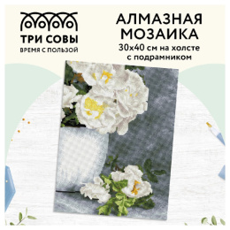 Алмазная мозаика на подрамнике 30х40см Садовые цветы Три совы АМП3040_47586