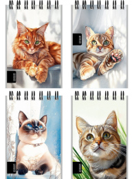 Блокнот А7  40 листов Нарисованные котики, гребень Б40-9320