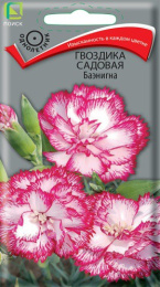 Гвоздика садовая Баэнигна 0,1г цветной пакет Поиск