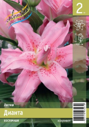Лилия Дианта 12/14 2шт. Эконом (ORD) Colorline