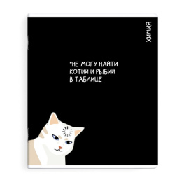 Тетрадь  48 листов П Химия Коты мемы 69826