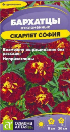 Бархатцы отклоненные (Тагетес) Скарлет София махровые 0,2г цветной пакет Семена Алтая