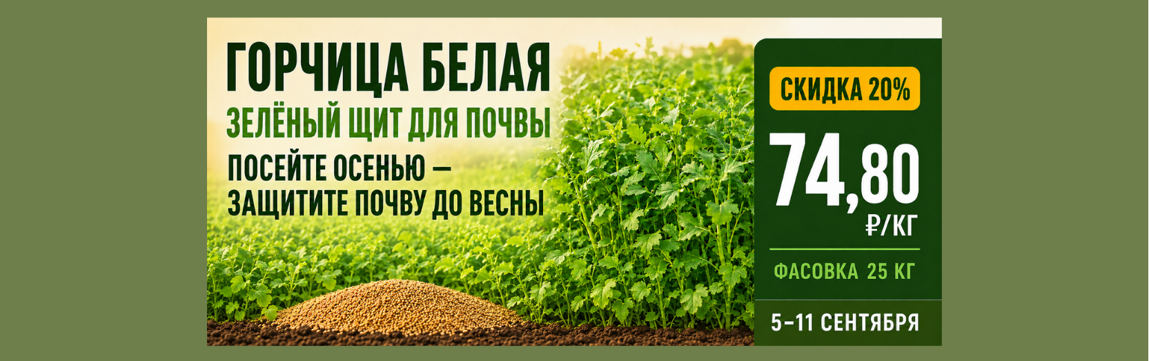 Горчица белая