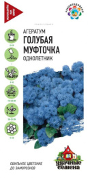 Агератум Голубая муфточка 0,05г цветной пакет серия Удачные семена Гавриш