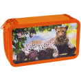 Пенал трехкамерный Дикие кошки 30П25/3_ПК12_10641