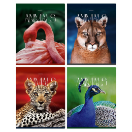 Тетрадь  96 листов BG Животные Т5СК96_ЛГ 12081