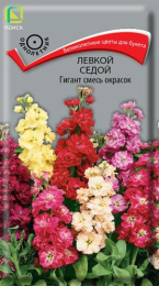 Левкой Гигант смесь окрасок седой 0,1г цветной пакет Поиск