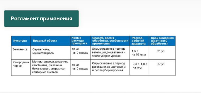 Прогноз 10мл флакон защита ягодных культур от мучнистой росы, серой гнили, пятнистостей, антракноза Грин Бэлт 01-682/01-674