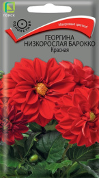 Георгина Барокко красная низкорослая 0,1г цветной пакет Поиск