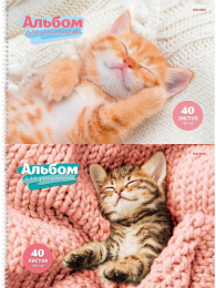 Альбом для рисования 40 листов Спящие котята, гребень 40-7882