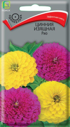 Цинния Рио изящная 0,4г цветной пакет Поиск